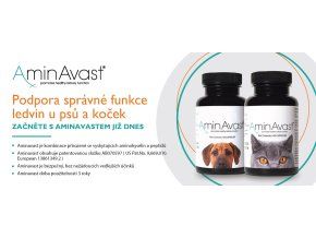 Aminavast 2