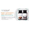 Aminavast 2