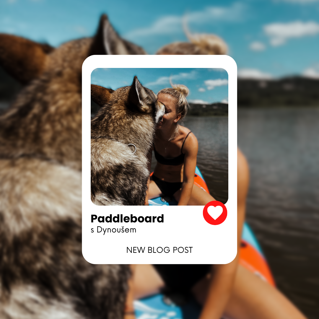 Paddleboard s vlčákem, jde to.