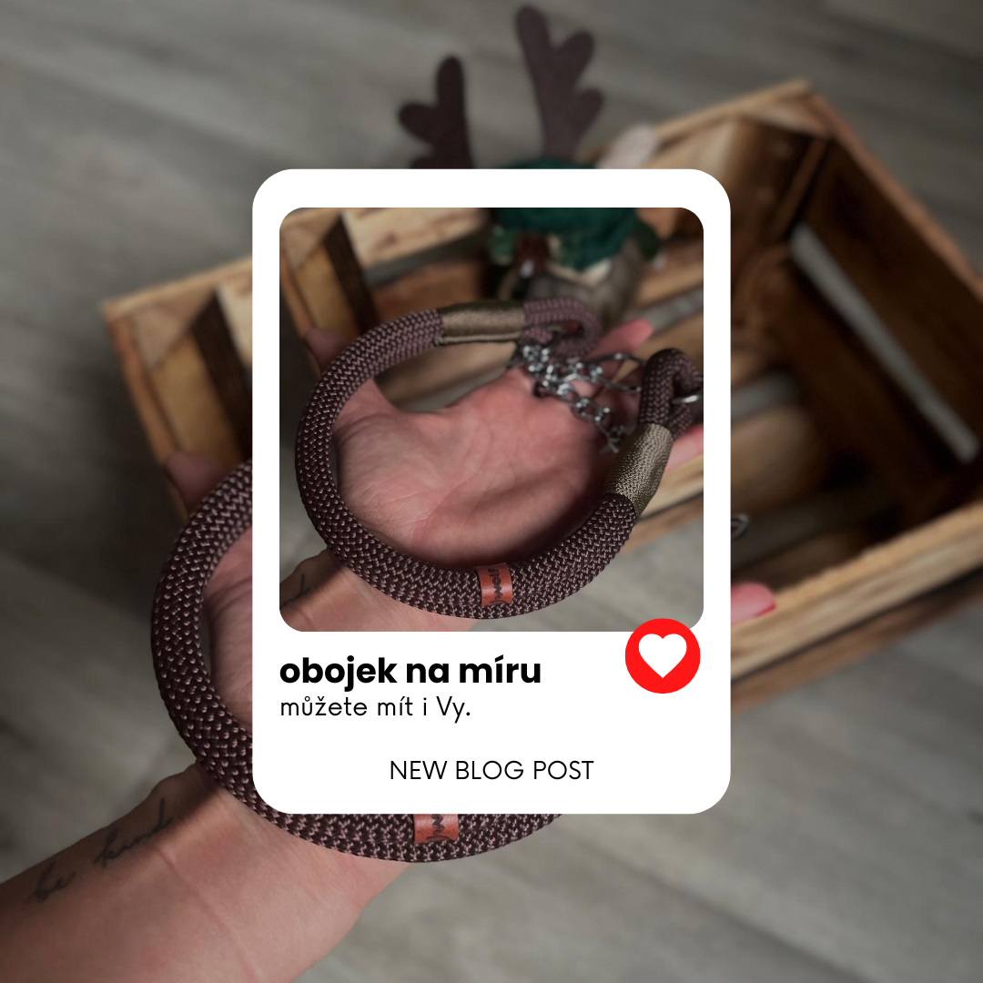 Obojky na míru