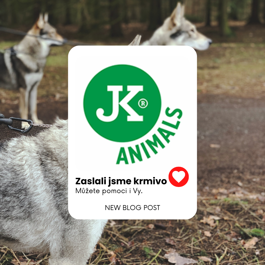 Poslali jsme krmivo pro vlčáky. Můžete i Vy.