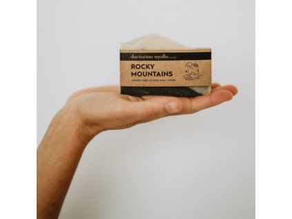 339 3 dm fotogram 0493