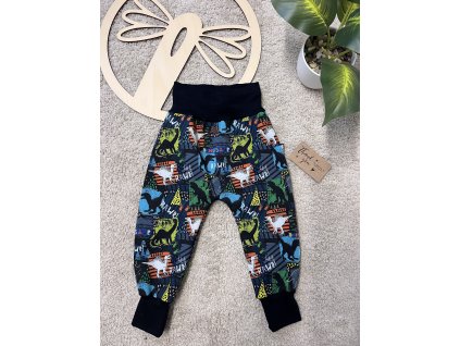 Safari