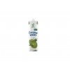 bamboo tree ovocny napoj kokos 1l