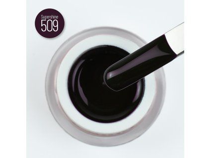 509 shadow