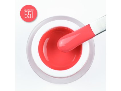 551 chic