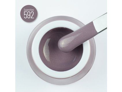 592 siamese