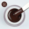 541 brownie