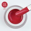 505 tulip