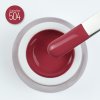 504 homeland