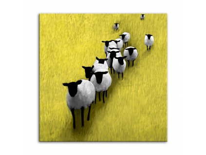 Obraz na plátně SHEEP A různé rozměry Ludesign