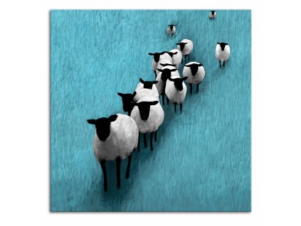 Obraz na plátně SHEEP C různé rozměry Ludesign