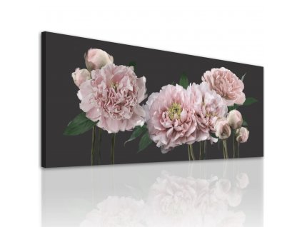 Obraz na plátně PEONY A 120x50 cm Ludesign