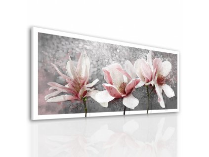 Obraz na plátně MAGNOLIA A 120x50 cm Ludesign