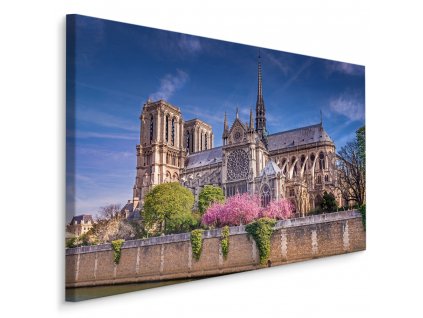 Plátno Katedrála Notre Dame, Paříž II.