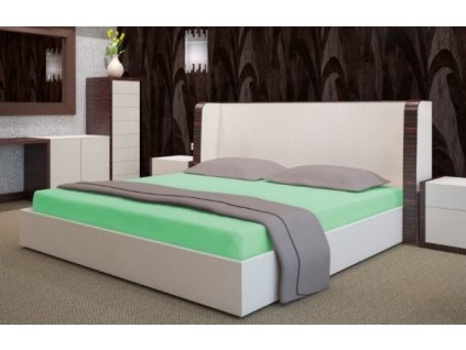 Froté prostěradlo 30 zelená 03, různé rozměry, MyBestHome