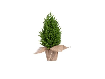 959add4ca9a59c78796a0b53c99b4b49