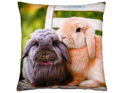 Dekorační polštář s motivem - KAMARÁDI 40x40 cm Mybesthome