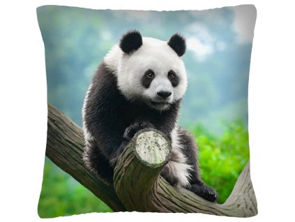 Polštář ANIMAL 29 - PANDA Mybesthome 40x40 cm