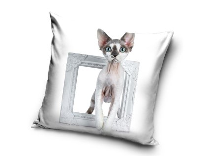 Polštář KOČIČÍ MODEL 02 40x40cm Mybesthome