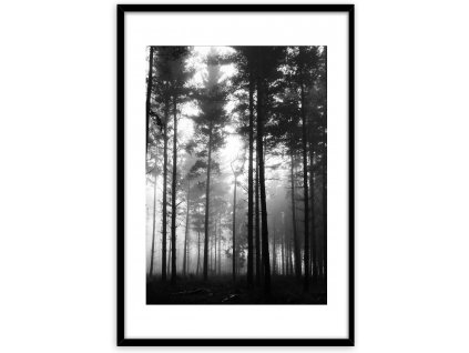 Obraz v rámu FOREST 50x70 cm Styler