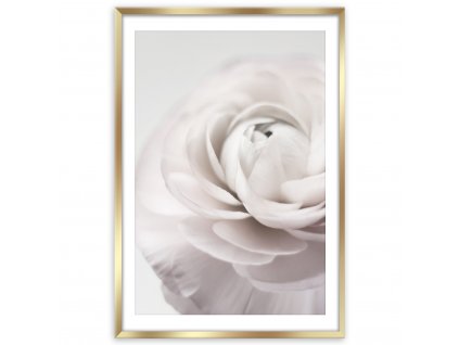 Obraz v rámu PETALS 50x70 cm Styler
