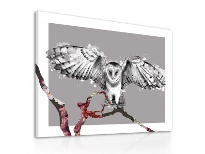 Obraz na plátně OWL A různé rozměry Ludesign