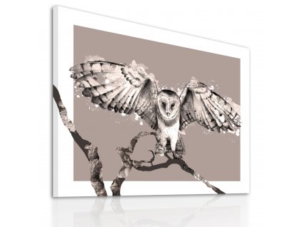 Obraz na plátně OWL B různé rozměry Ludesign