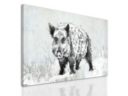 Obraz na plátně WILD BOAR různé rozměry Ludesign