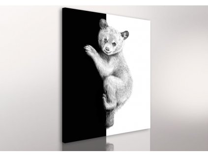 Obraz na plátně TEDDY BEAR různé rozměry Ludesign