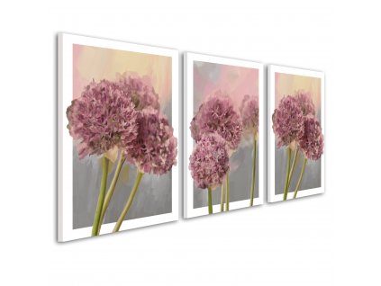 Obraz na plátně GARLIC FLOWER C set 3 kusy různé rozměry Ludesign