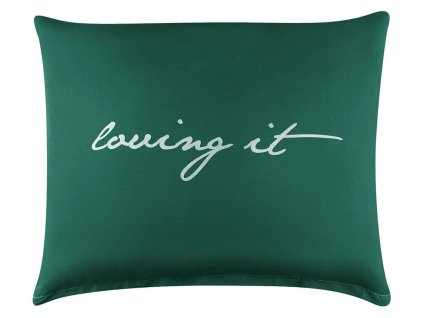 Polštář s výplní LOVING 50x60 cm, zelená/bílá, 100% bavlna Mybesthome