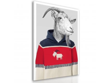 Obraz na plátně GOAT IN SWEATER I. různé rozměry Ludesign