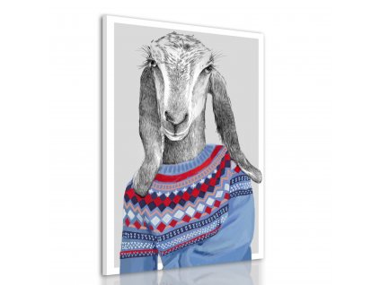 Obraz na plátně Mrs. GOAT IN SWEATER různé rozměry Ludesign