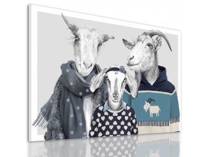 Obraz na plátně GOAT FAMILY IN SWEATERS - motiv B různé rozměry Ludesign