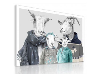 Obraz na plátně GOAT FAMILY IN SWEATERS - motiv C různé rozměry Ludesign