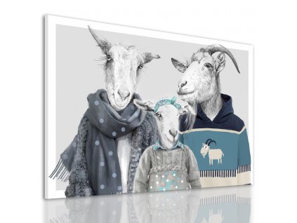 Obraz na plátně GOAT FAMILY IN SWEATERS - motiv D různé rozměry Ludesign