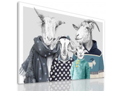 Obraz na plátně GOAT FAMILY IN SWEATERS - motiv E různé rozměry Ludesign