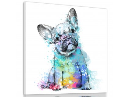 Obraz na plátně FRENCH BULLDOG B různé rozměry Ludesign