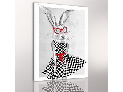 Obraz na plátně LADY RABBIT různé rozměry Ludesign