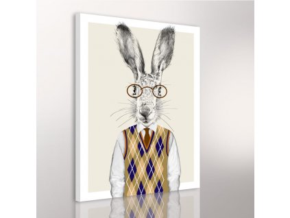 Obraz na plátně MR. RABBIT různé rozměry Ludesign