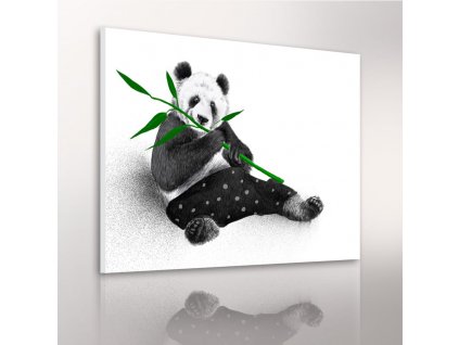 Obraz na plátně PANDA různé rozměry Ludesign