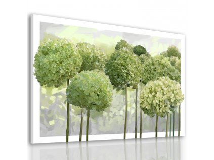 Obraz na plátně HORTENZIE zelené květy A různé rozměry Ludesign