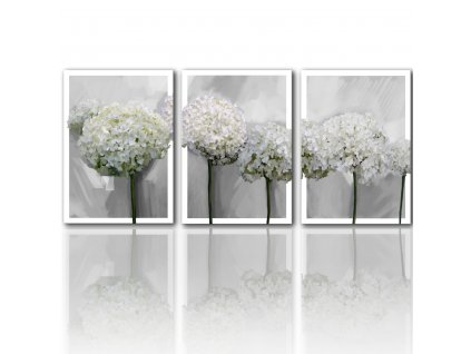 Obraz na plátně HORTENZIE bílé květy set 3 kusy různé rozměry Ludesign
