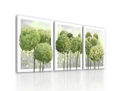 Obraz na plátně HORTENZIE zelené květy set 3 kusy různé rozměry Ludesign