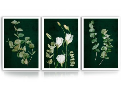 Obraz na plátně PLANTS I. set 3 kusy různé rozměry Ludesign