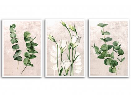 Obraz na plátně PLANTS II. set 3 kusy různé rozměry Ludesign
