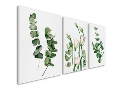 Obraz na plátně PLANTS III. set 3 kusy různé rozměry Ludesign