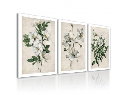 Obraz na plátně WHITE FLOWERS set 3 kusy různé rozměry Ludesign