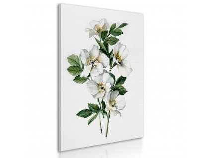 Obraz na plátně WHITE FLOWERS I. různé rozměry Ludesign